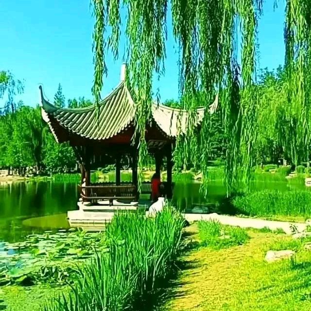 阿雄