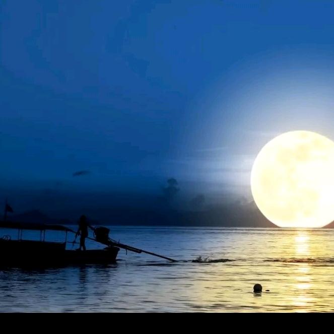 【船儿弯$月儿圆】