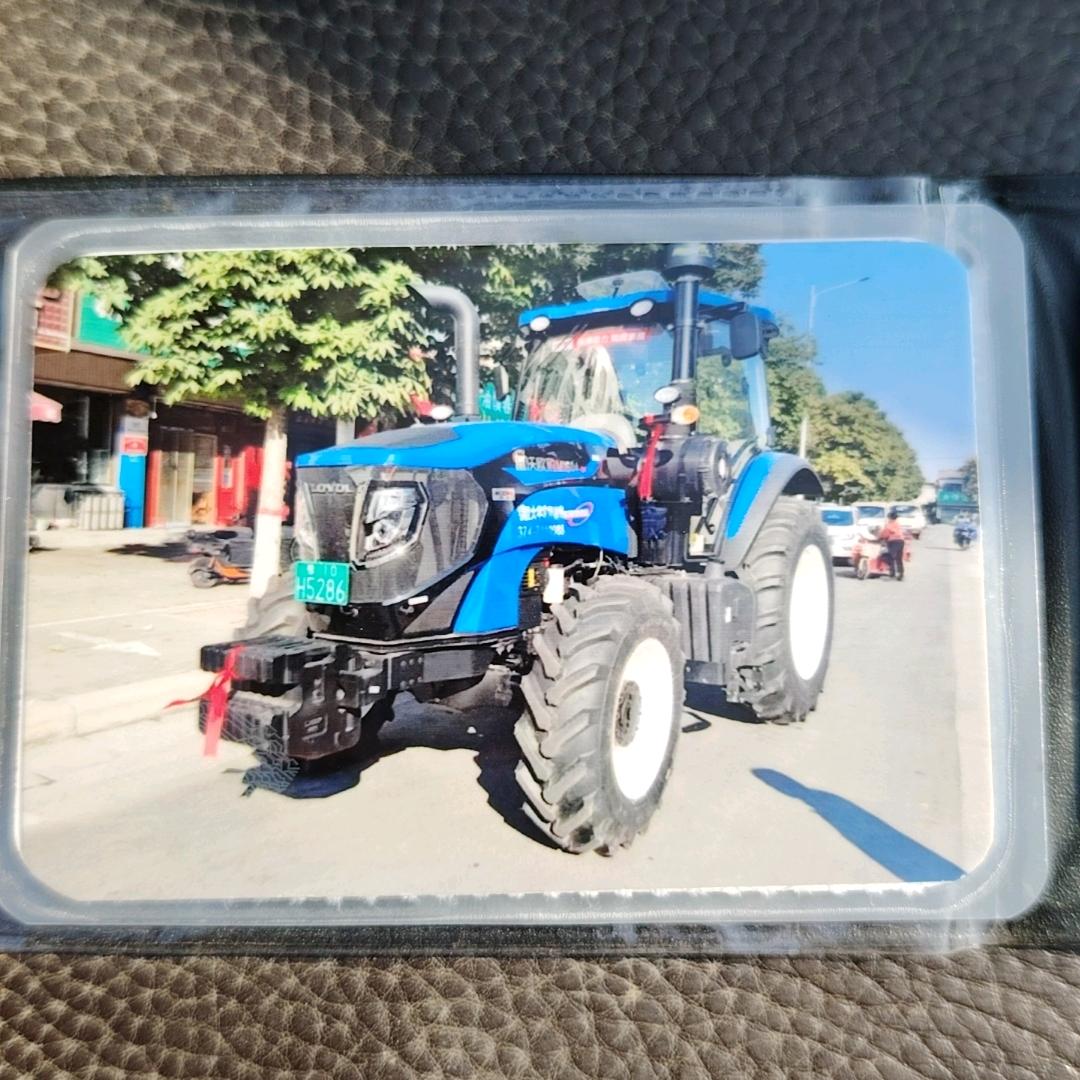 席黄精品姜基地