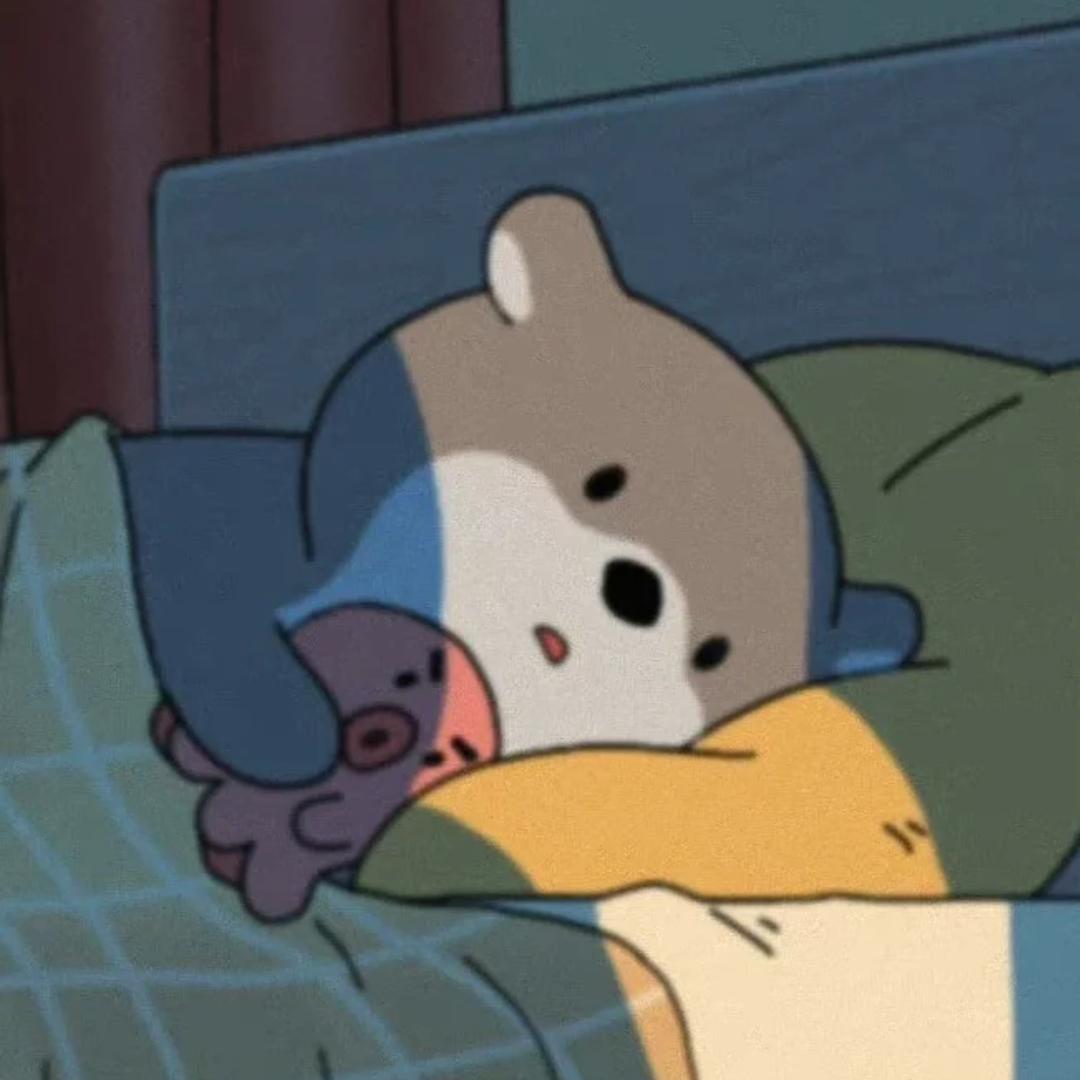 🐨
