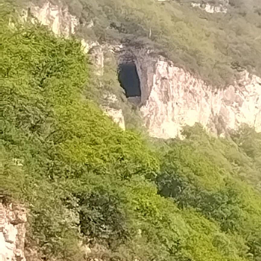 俺是农民俺家有地