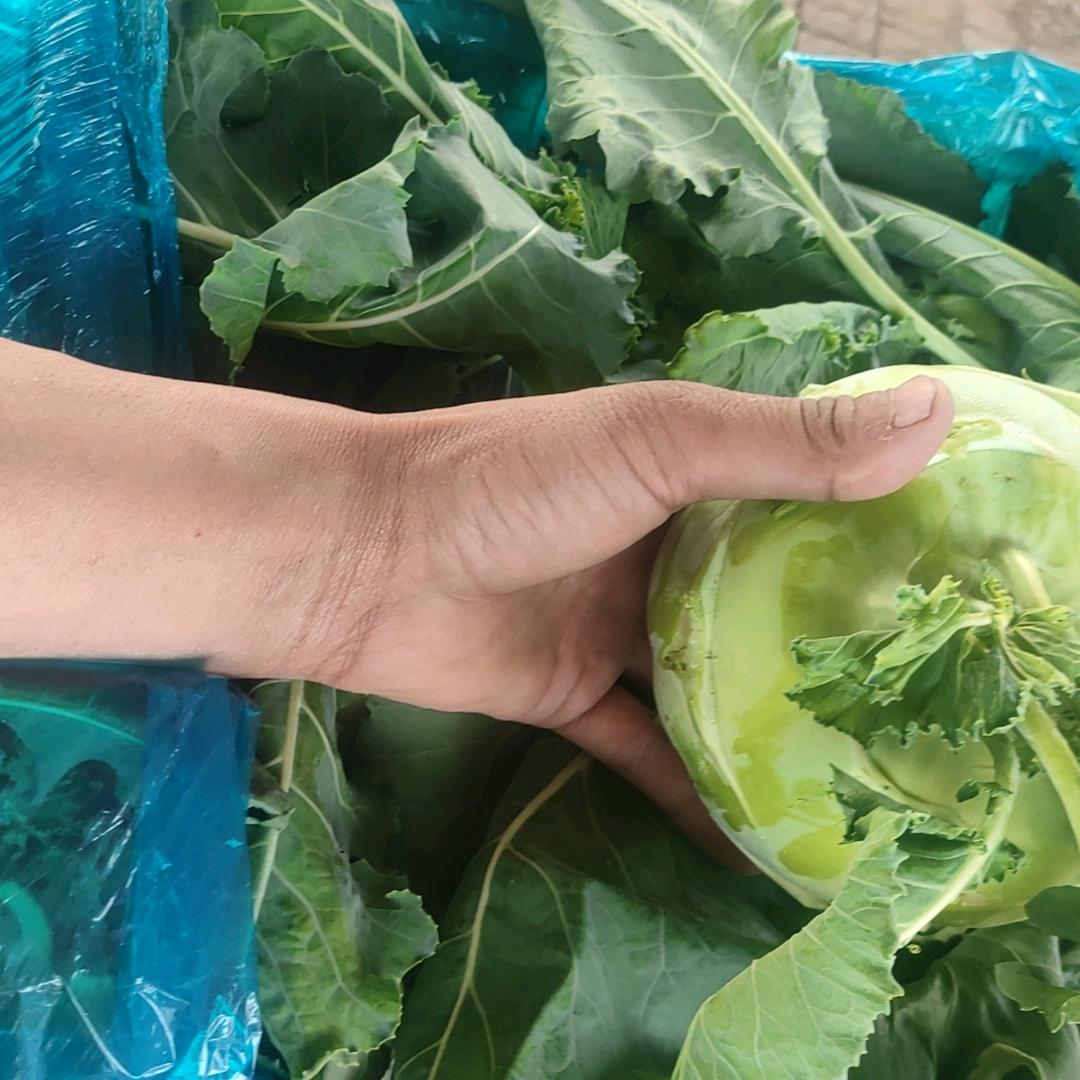 小王收菜经纪人