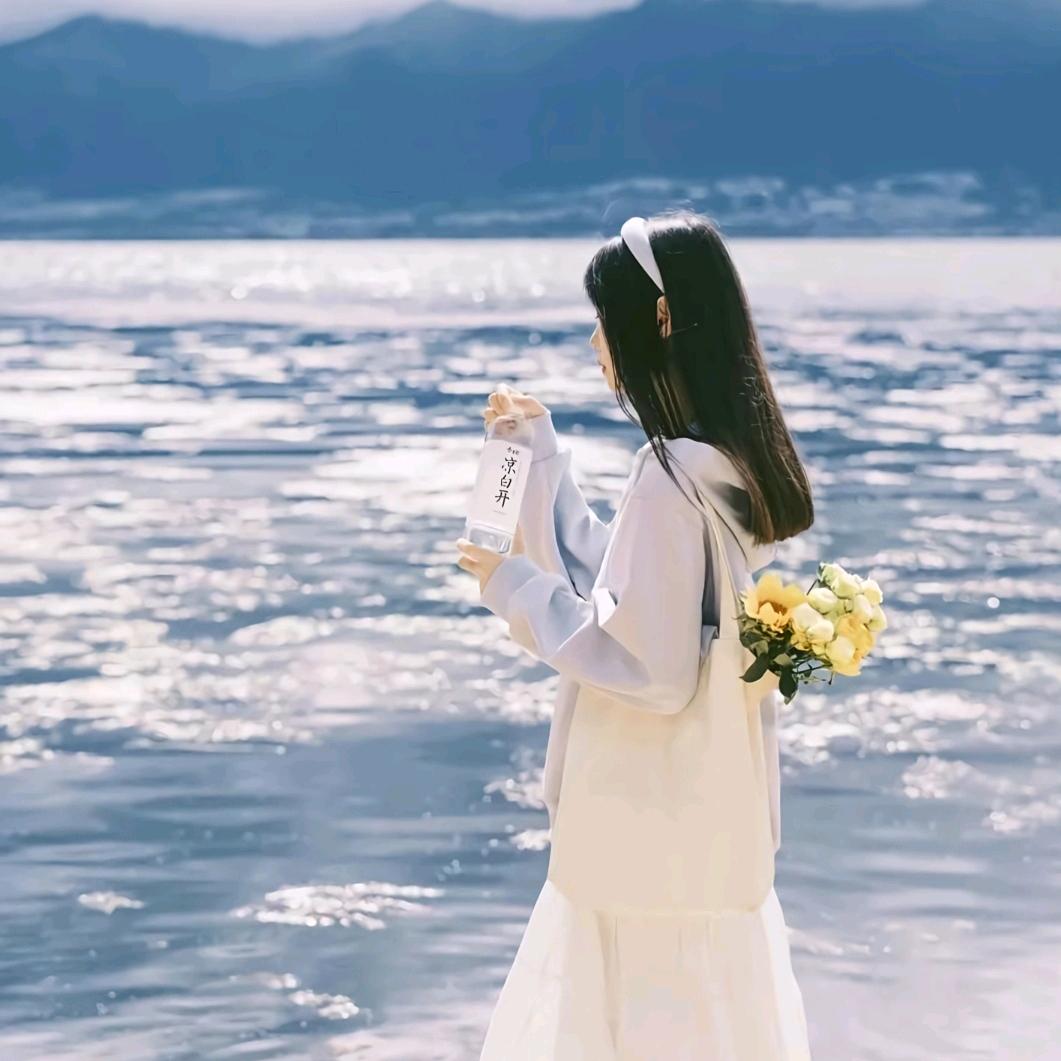 雪莲百货档