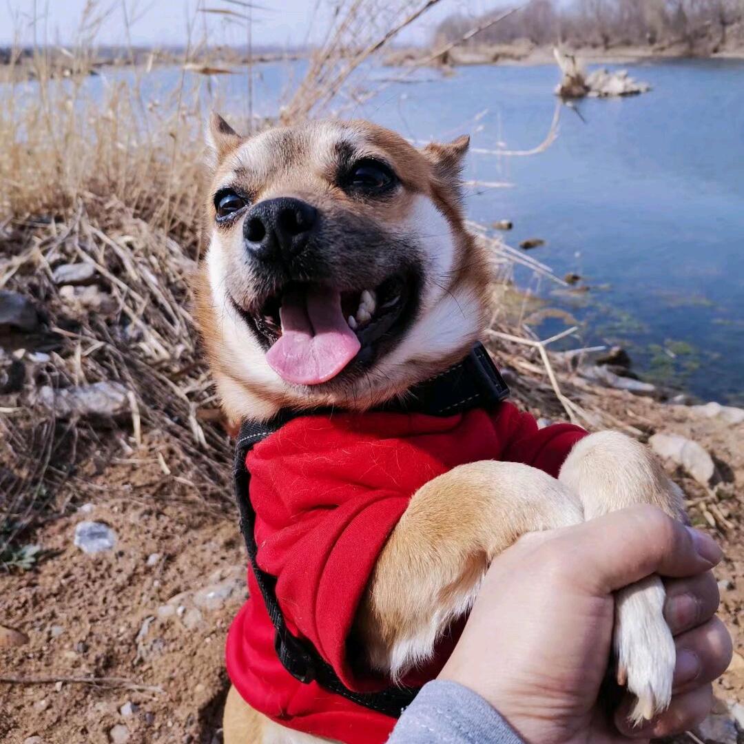 嘻嘻家