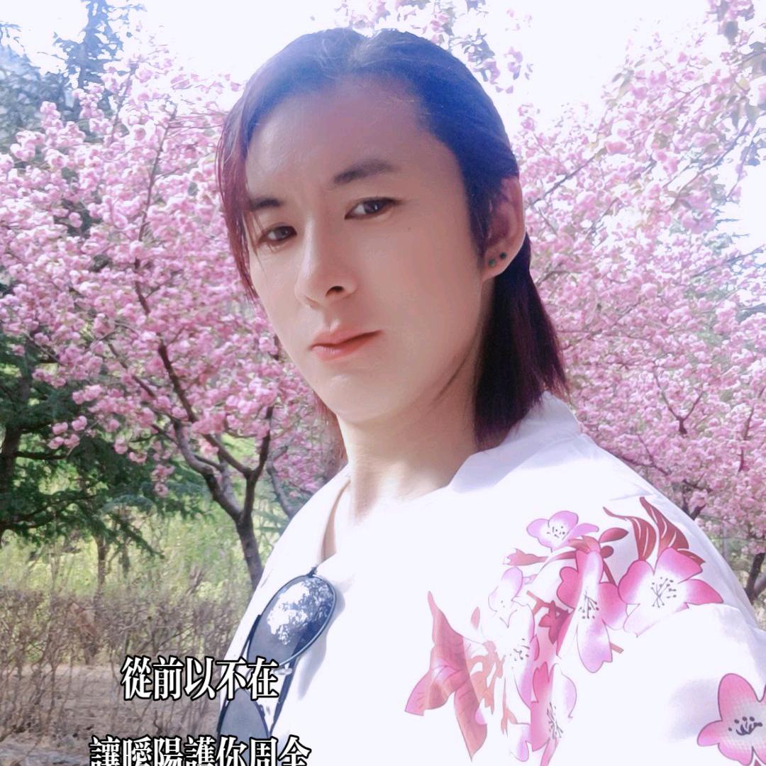 慕容蝶影