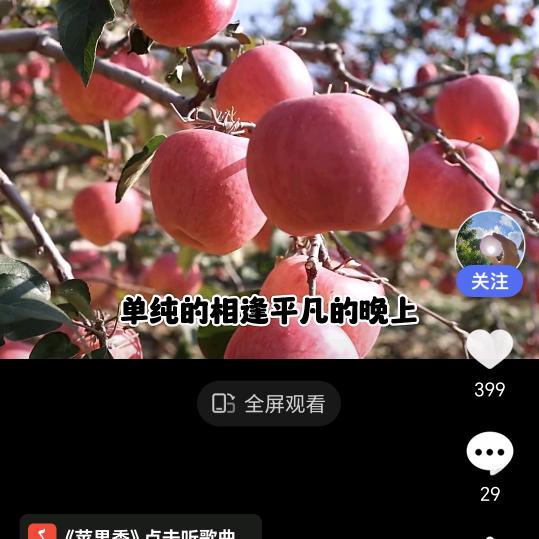 辉锅