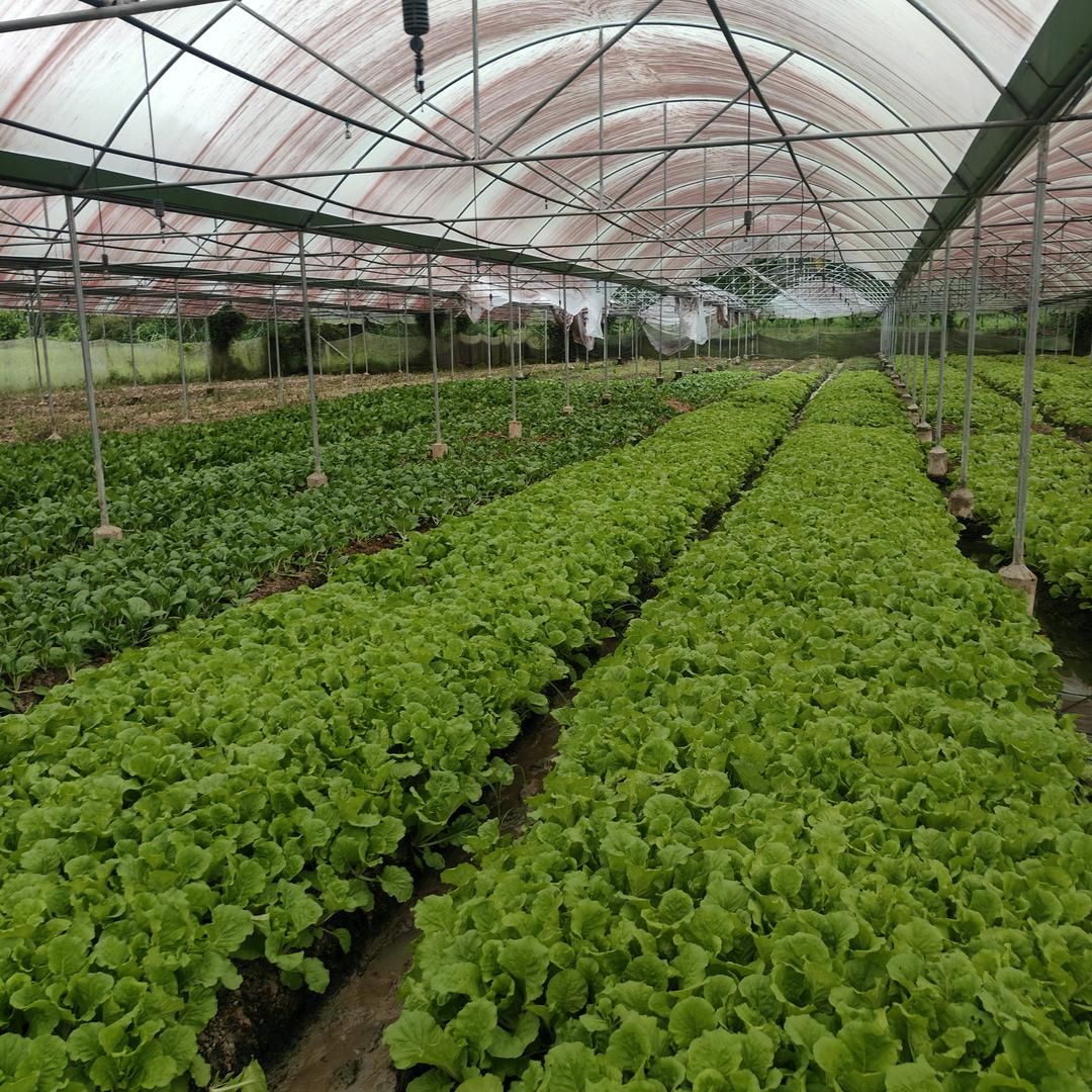 坚强是为了以后生活过好