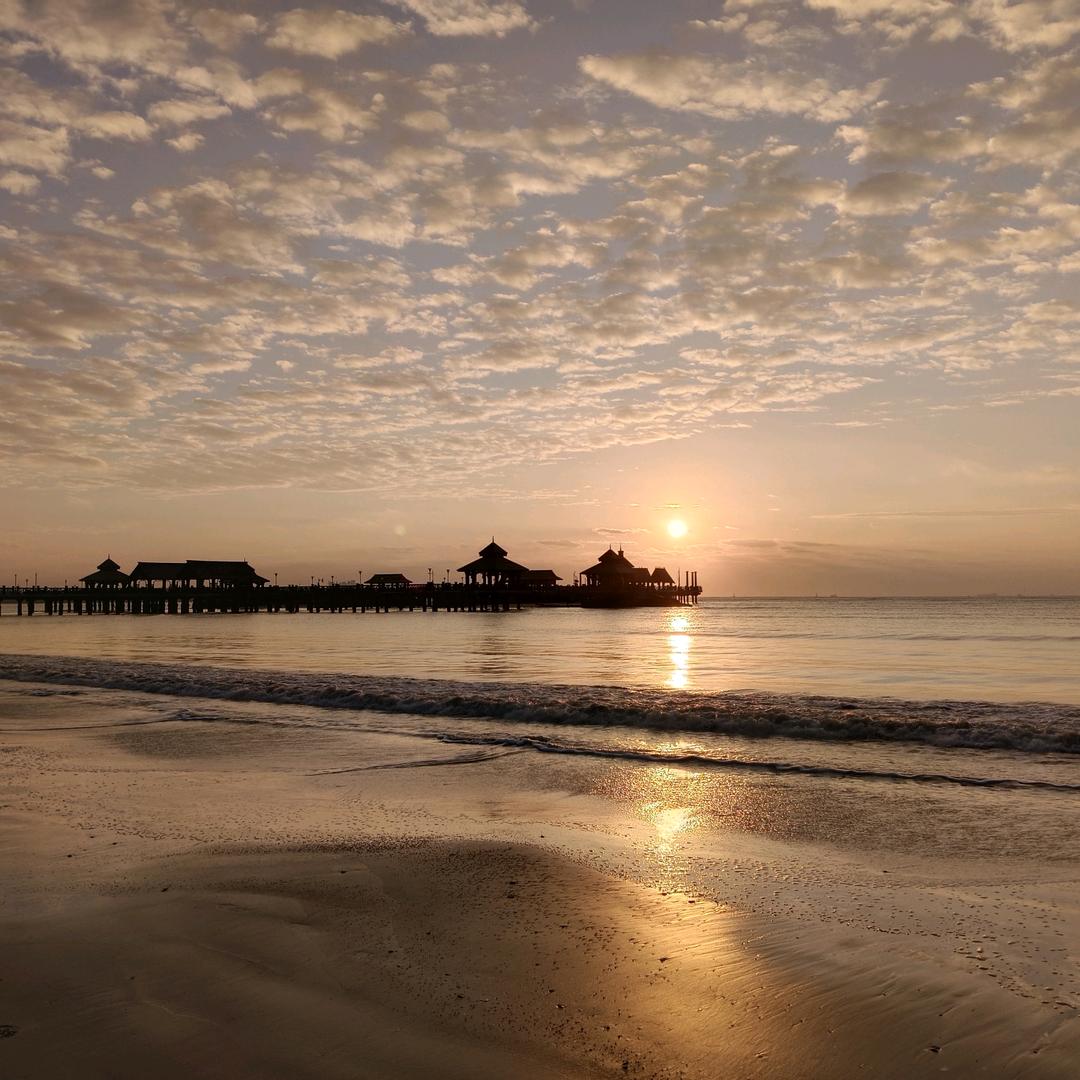 阿菜三角洲行动