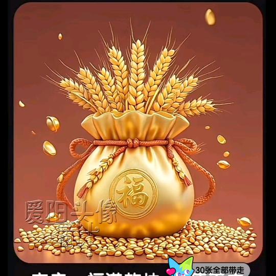 太阳也午睡