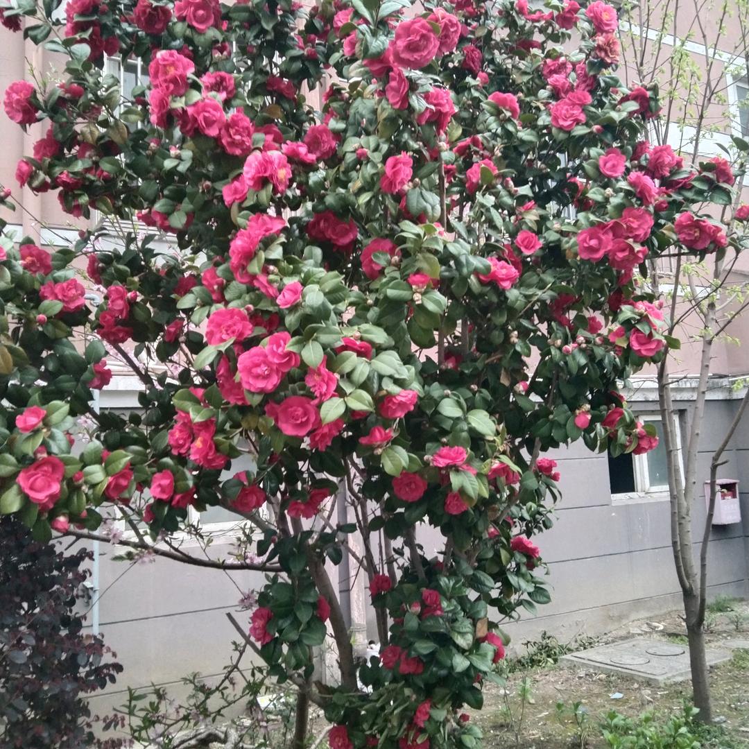 过去就过去吧