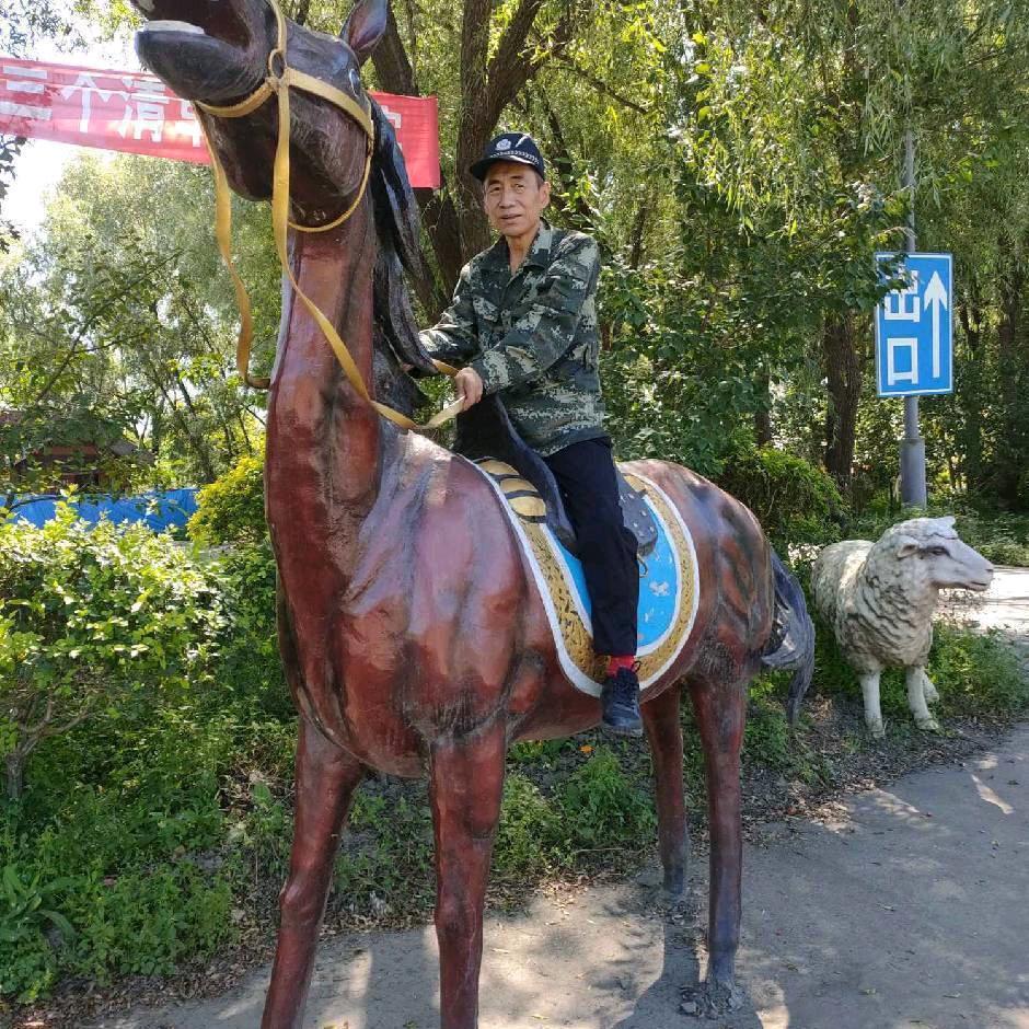 杨哥真爱永恒