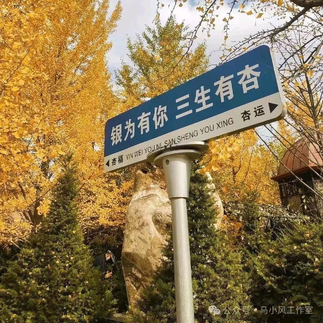 赫涵小程