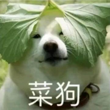 夜雨霏霏