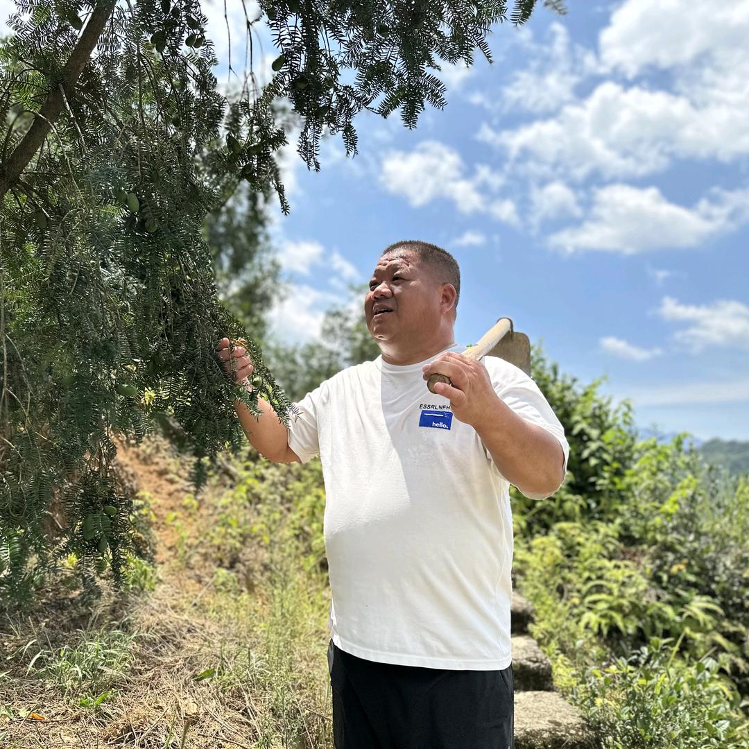叶小伟.高升林