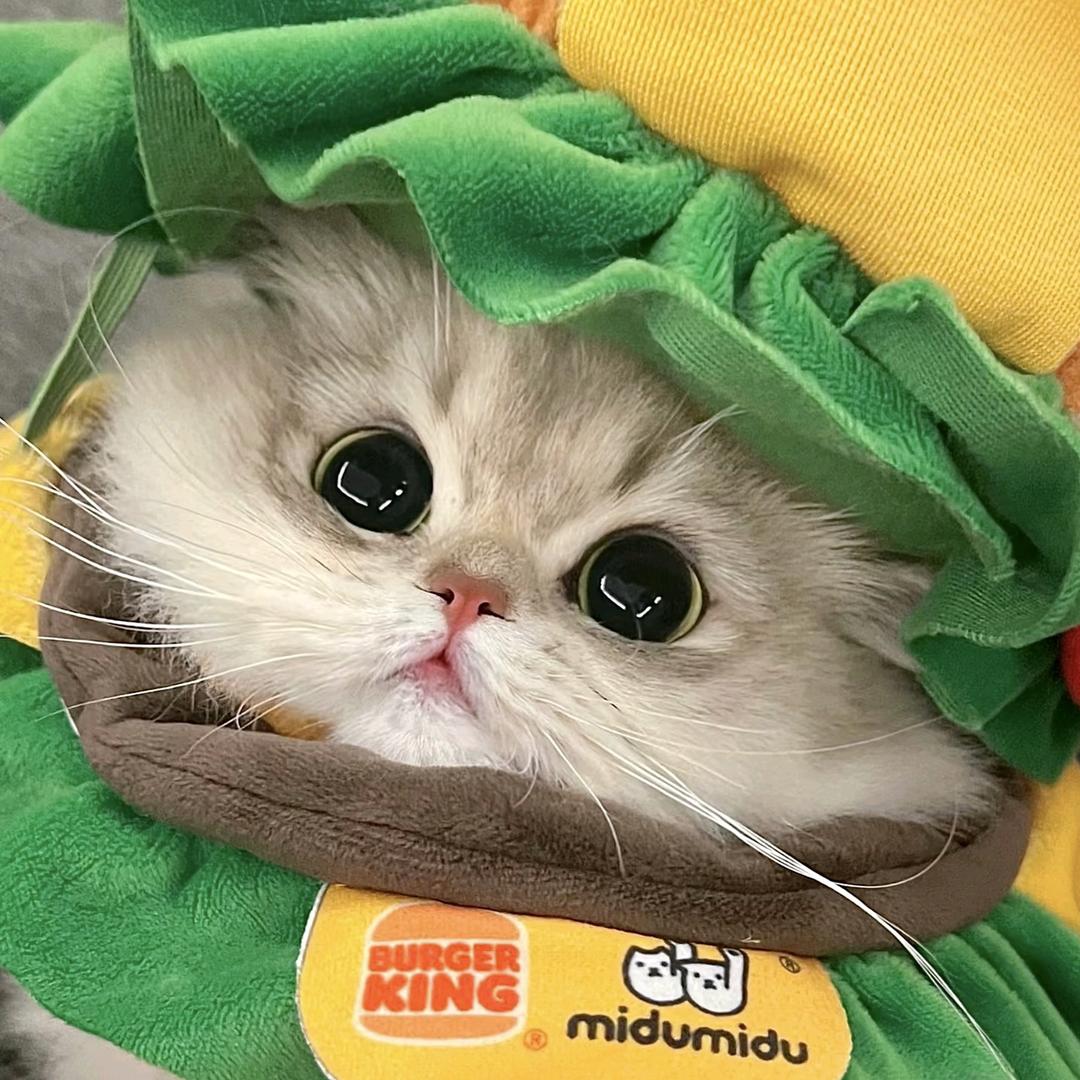 Cici💚嘻嘻