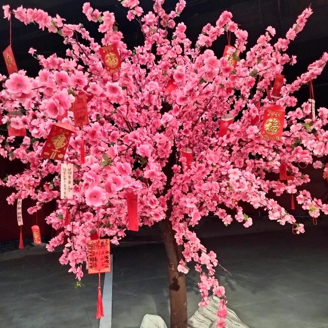 然儿吖