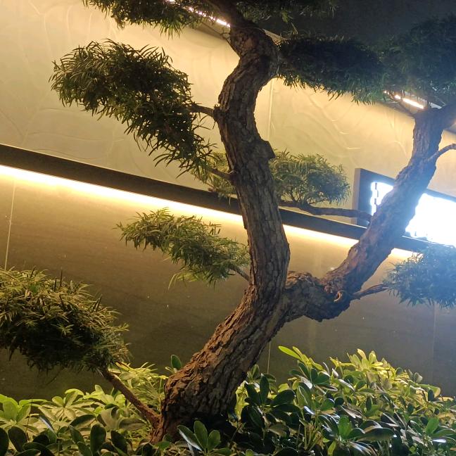 ▞▛▖▜▖▗▝ ▞▙▖　　　　　　　　༽