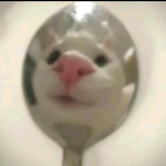 der.