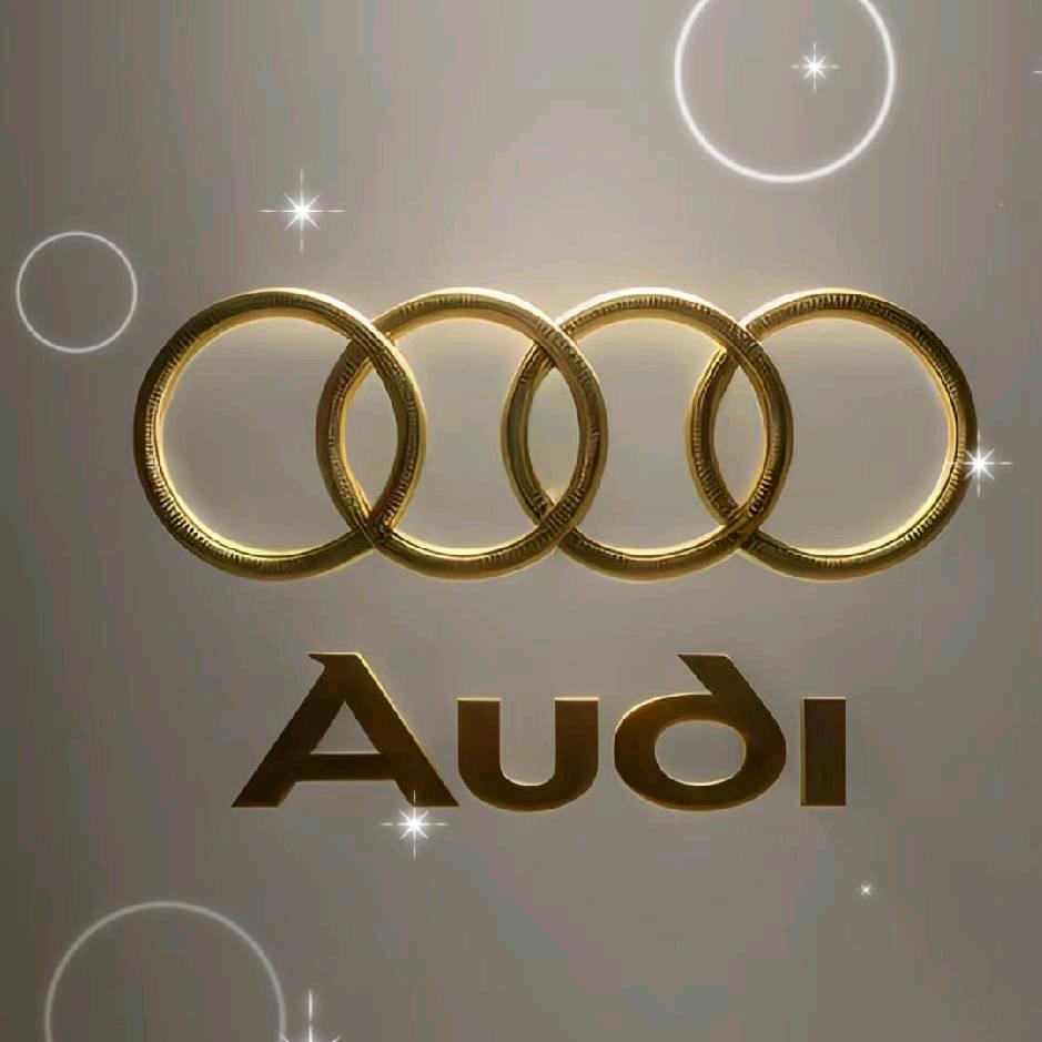 卖奥迪的小姐姐