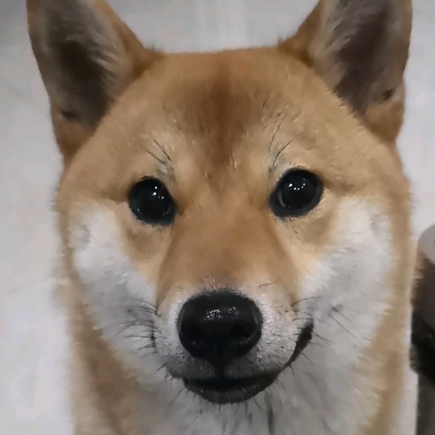 happyangle