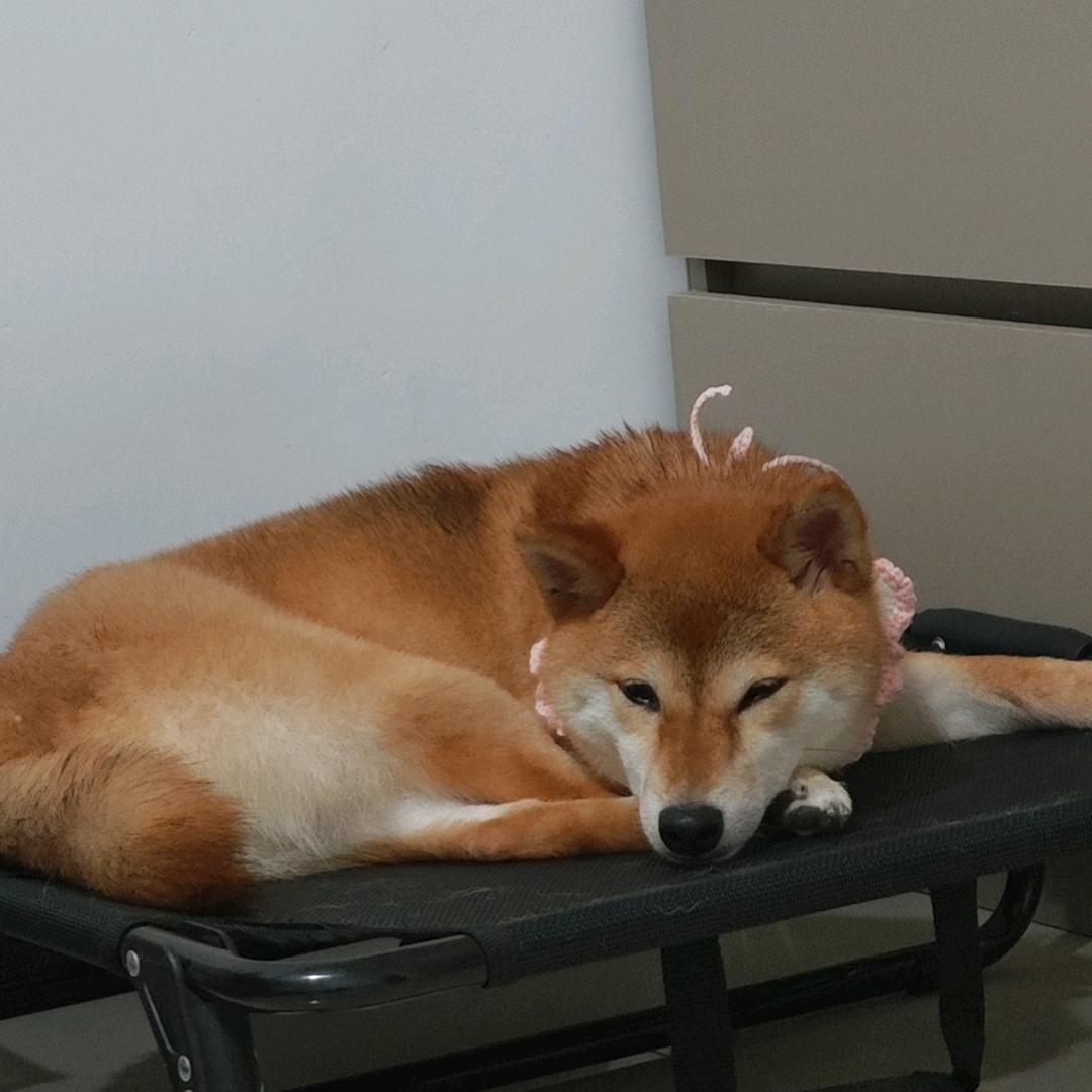 抠门小王
