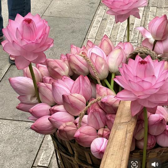 花涧居士