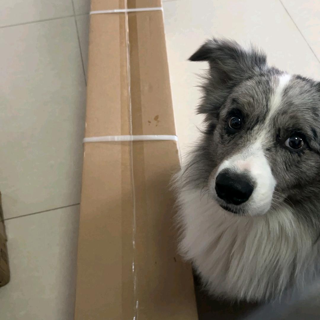 敏又