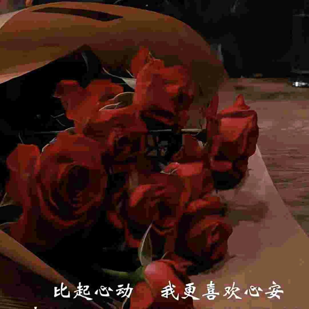 @逝去的青春！！！