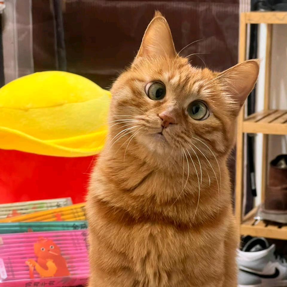 人间清醒李西瓜🍉🍉🍉🍉🍉🍉