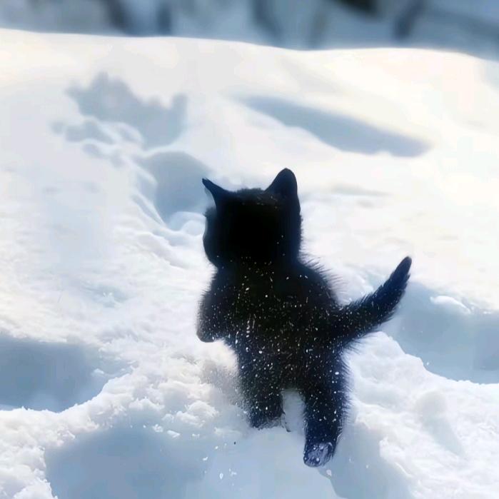 出售星辰的商贩