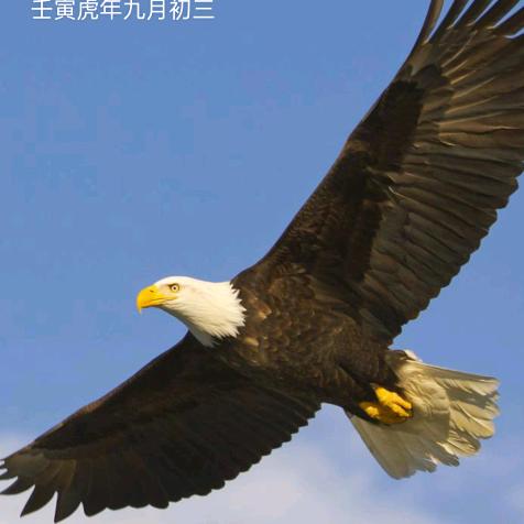 浴火重生[种柠檬果]