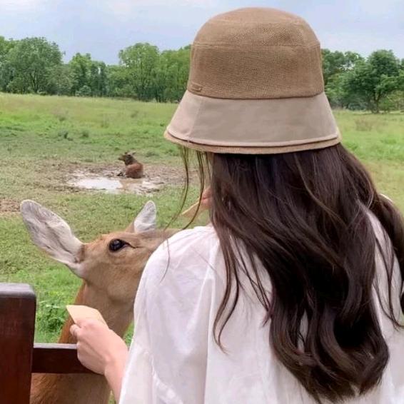 躺不平的咸鱼。