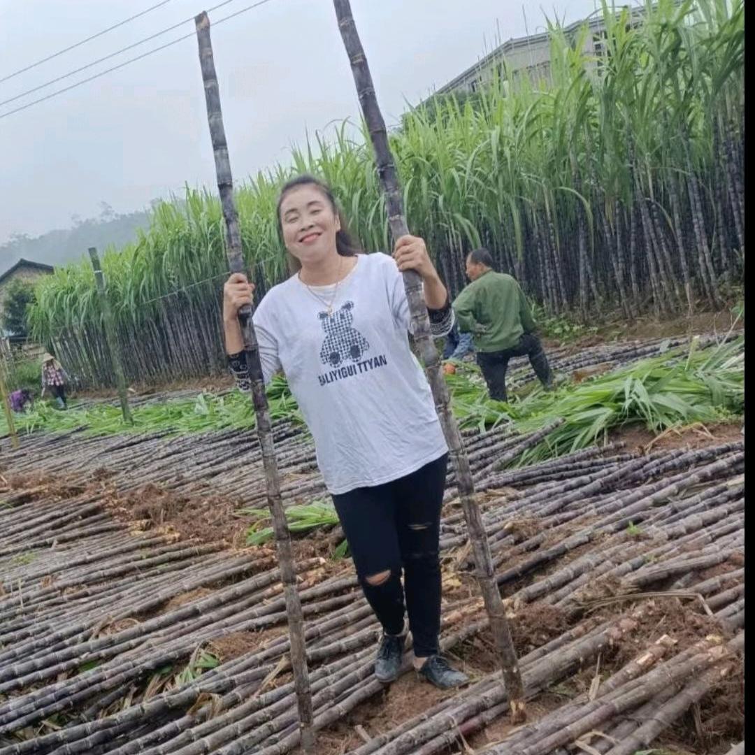 灭绝师太