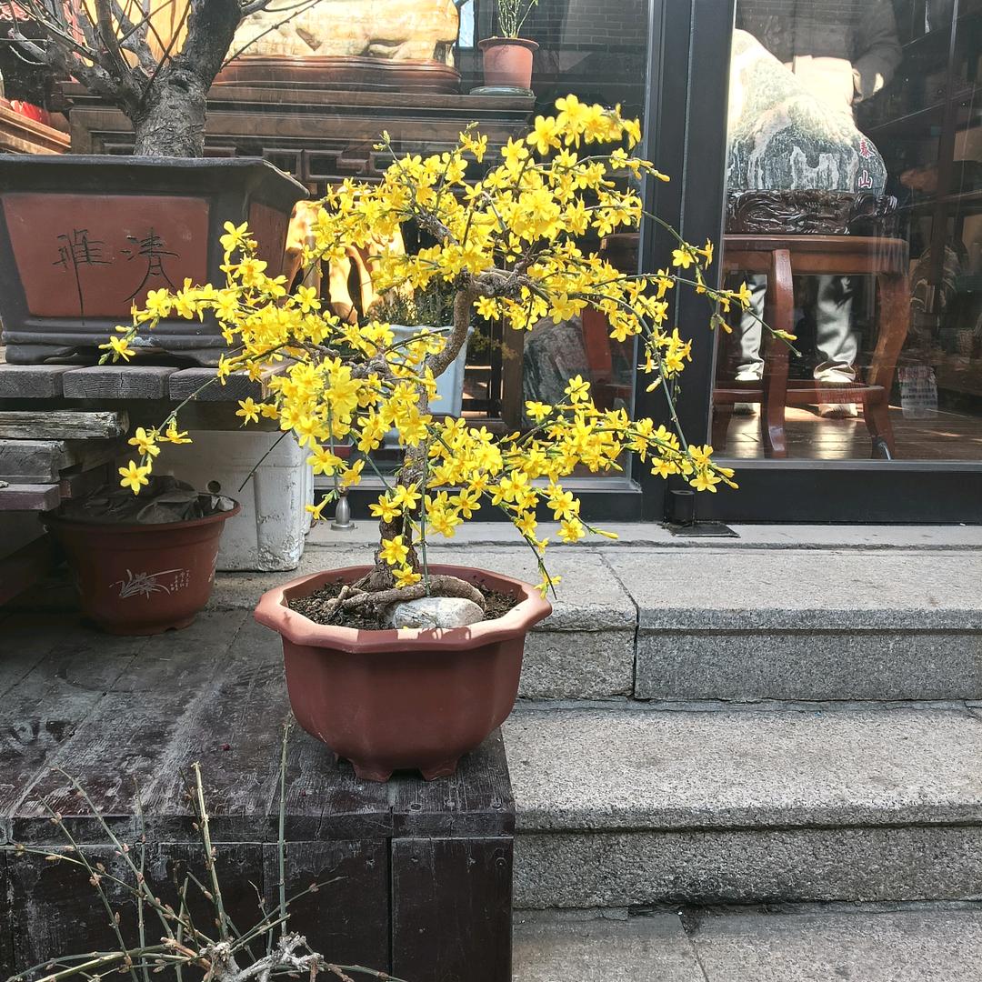 李安锋用户11768767