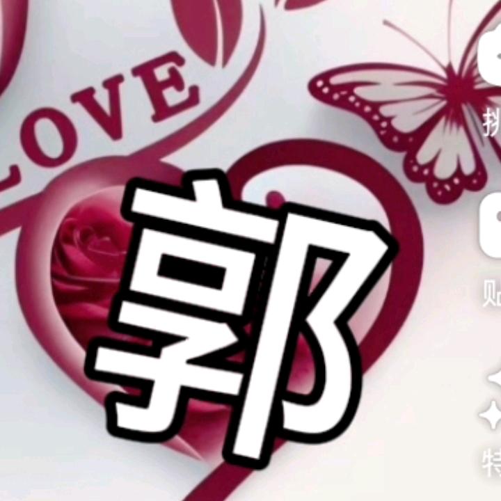 洪儿🍎（橱窗里有好物）