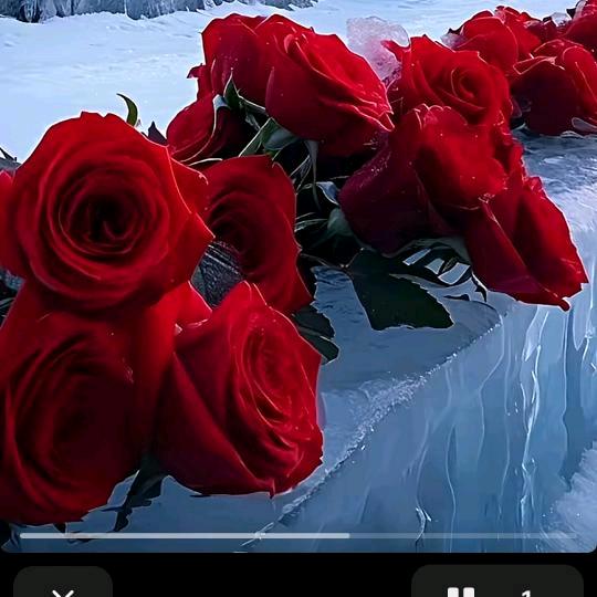 ℳঞ往后 ໌້ᮨ꧔ꦿ᭄余生💕