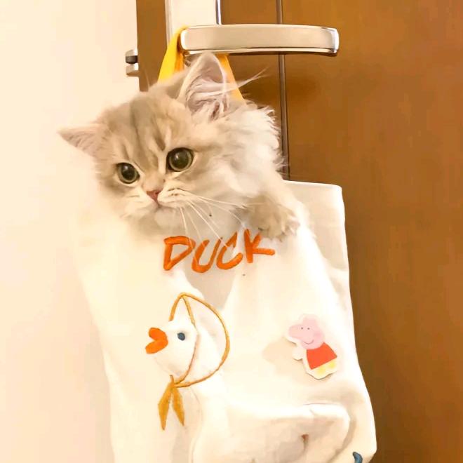 安玥💕