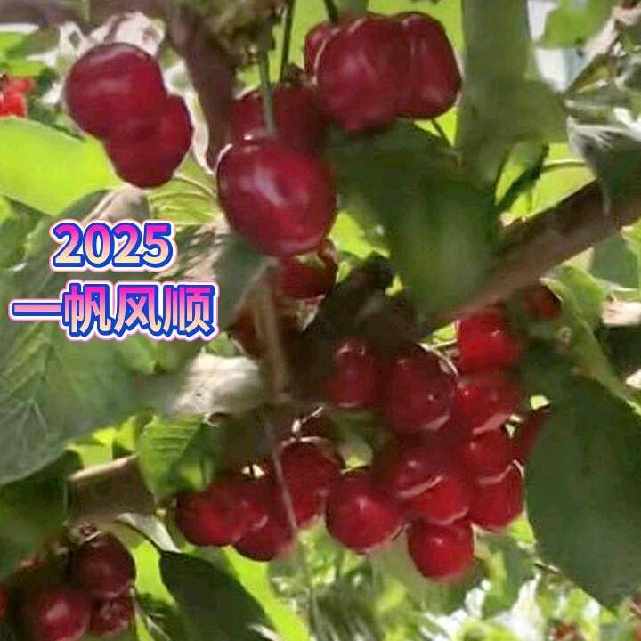 守望幸福