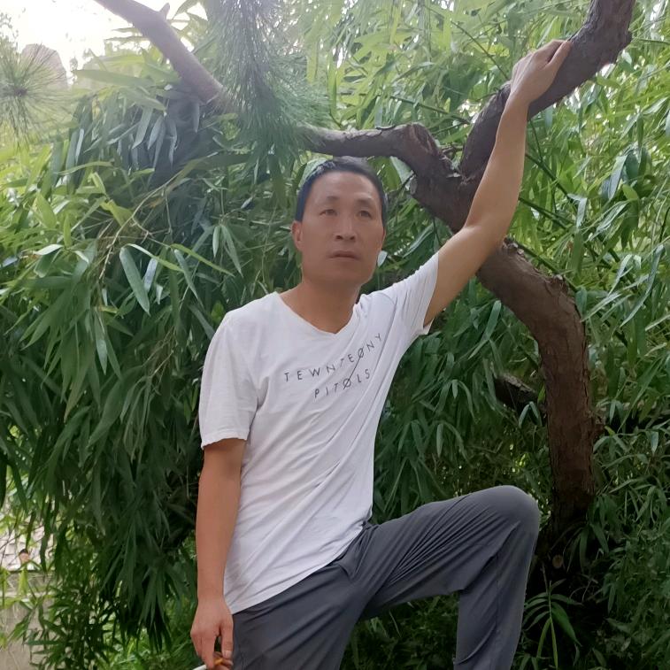 未来哥