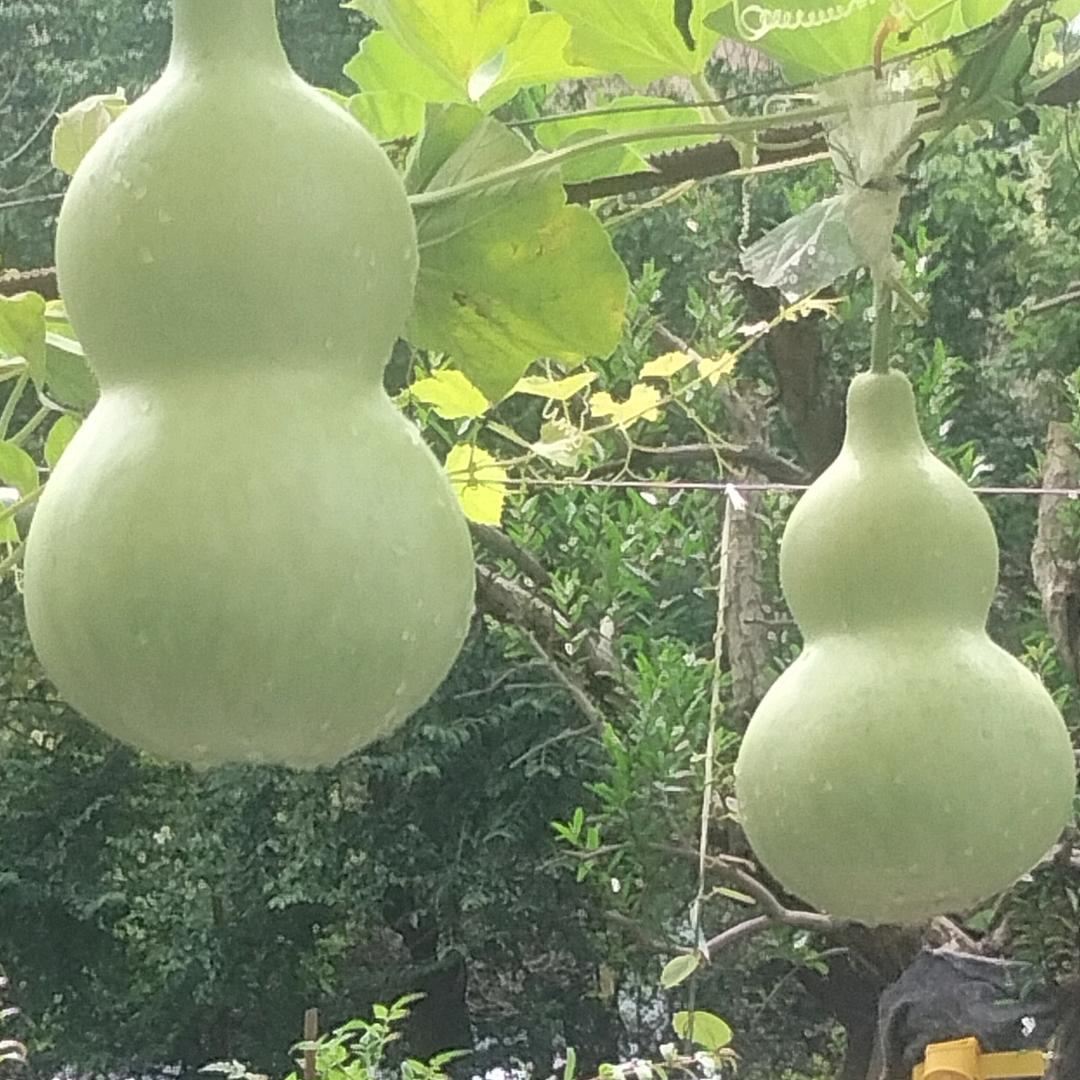 自由自在乐逍遥