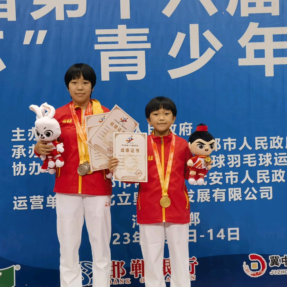 正定顶峰乒乓