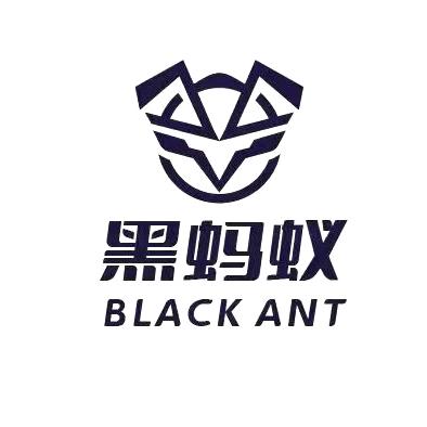 黑蚂蚁电竞棋牌俱乐部