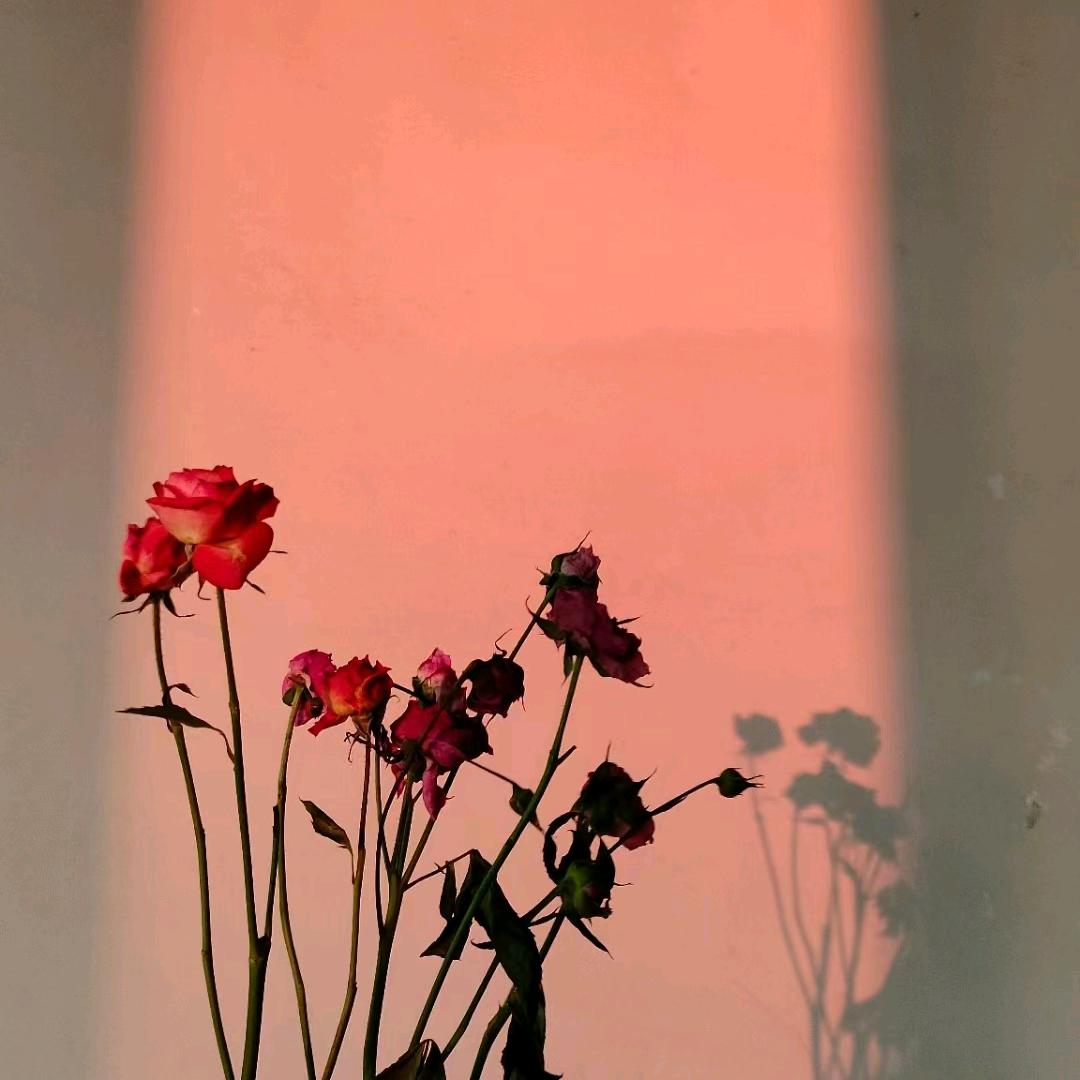 大乖乖的小乖乖