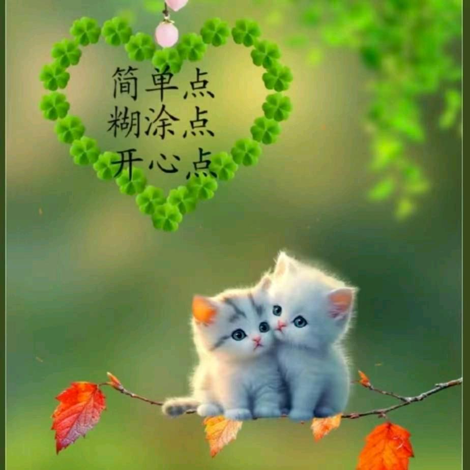 ,黔江:单身🌹友哥🌹87