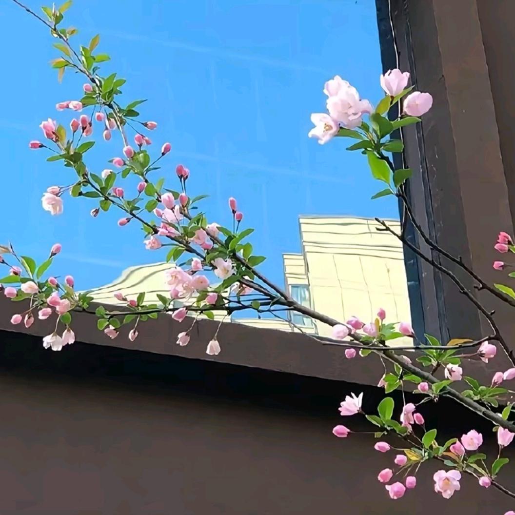 钰