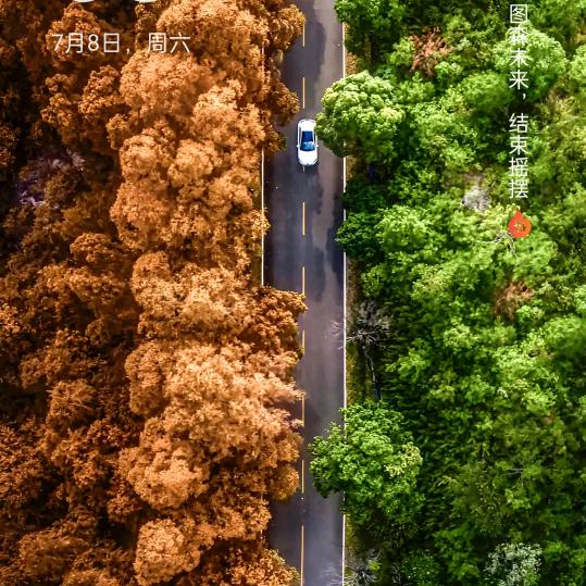 陈₍˄·͈༝·͈˄*₎◞ ̑̑