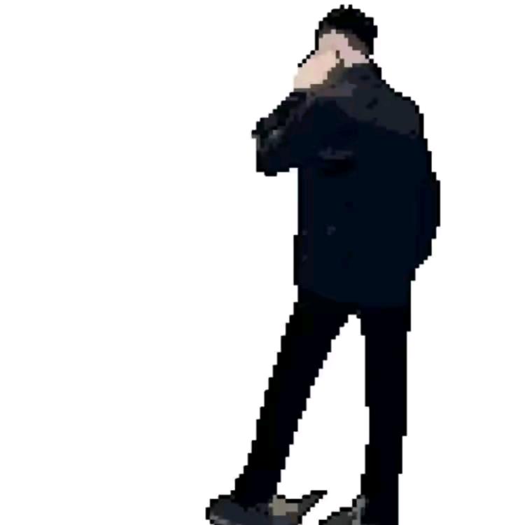 落 叶