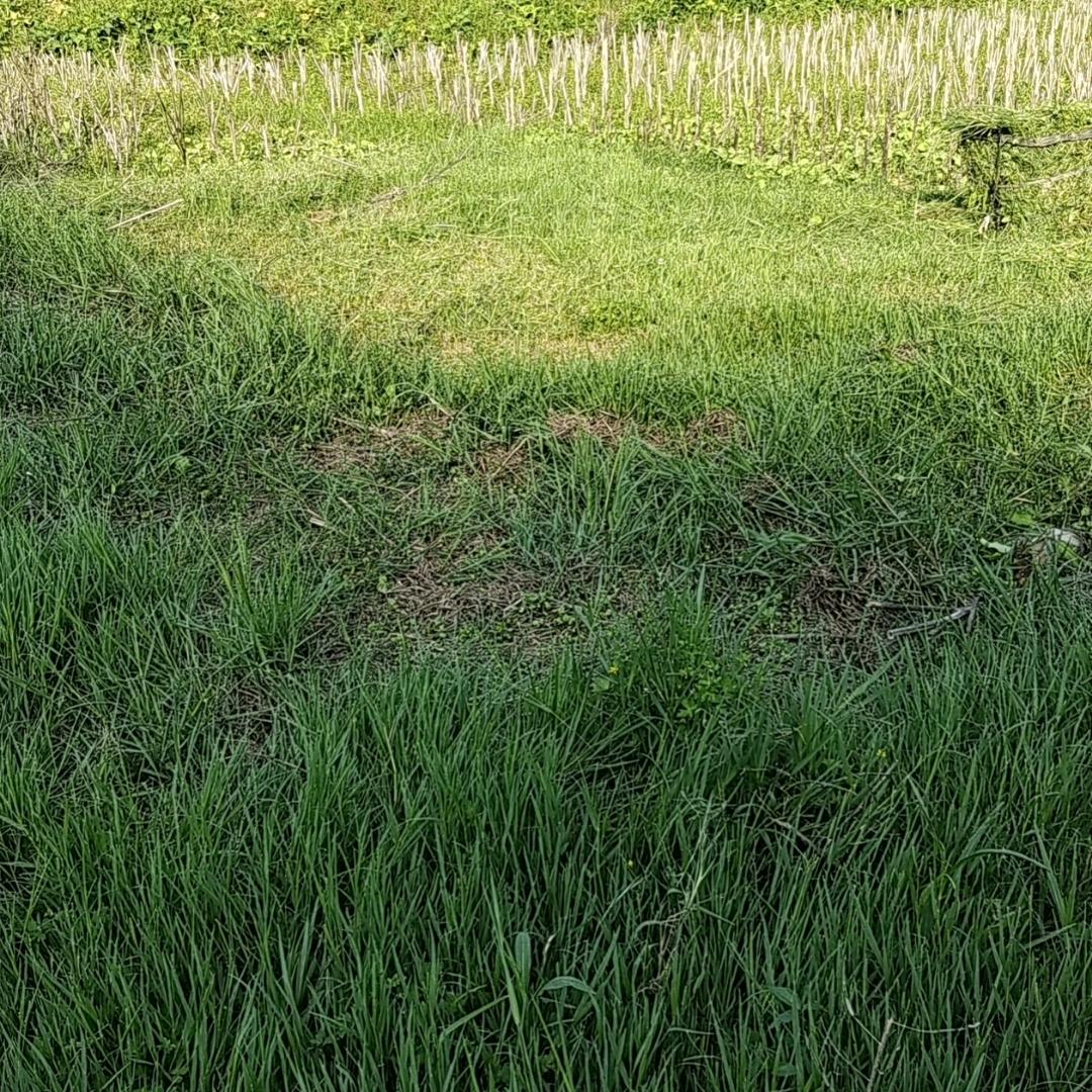 从认识%到陌生