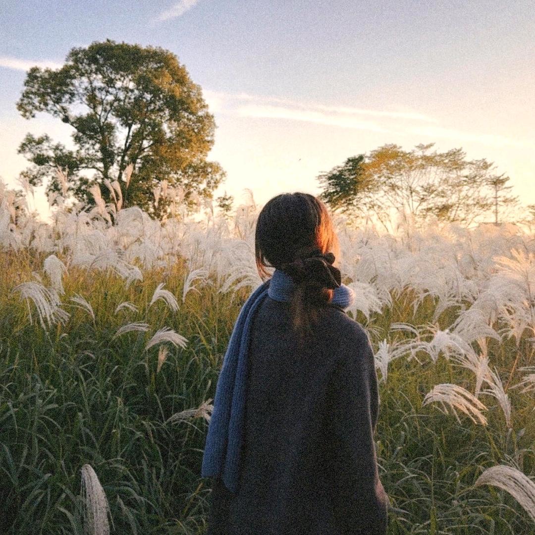 仙女不饿🧚‍♀️