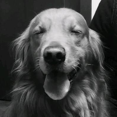 态度